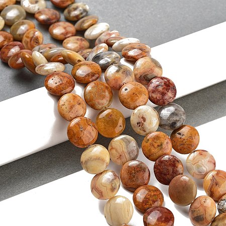 Flat Round Natural Crazy Lace Agate Beads Strands G-S110-12mm-05-1