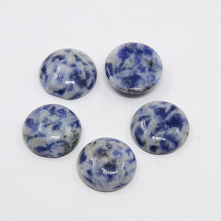 Natural Gemstone Cabochons LS-G-H1596-FR-15mm-32-1