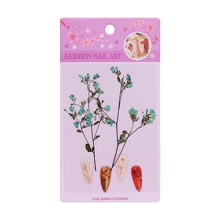 3D Dried Flowers Nail Art Decorations MRMJ-S012-049C-1