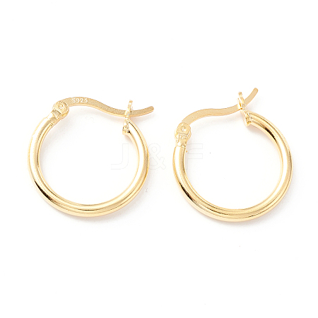 925 Sterling Silver Hoop Earrings STER-P047-13B-G-1