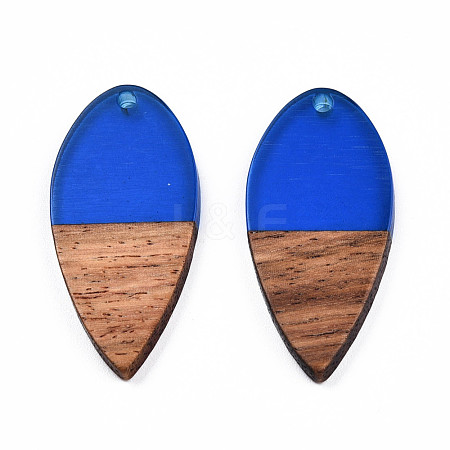 Transparent Resin & Walnut Wood Pendants RESI-N025-031-C03-1