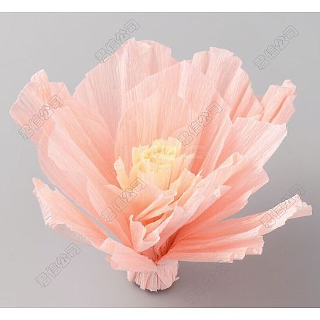 Crepe Paper Flowers Decoration for Wall AJEW-WH0415-43B-03-1
