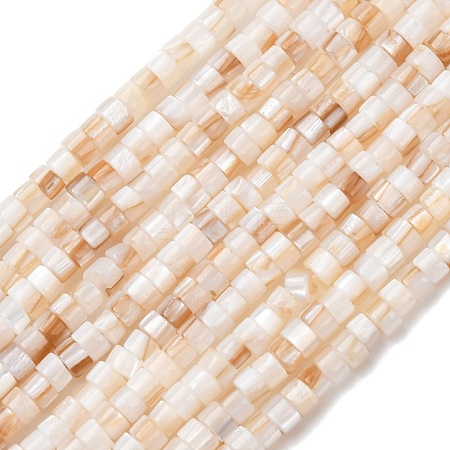 Natural Freshwater Shell Beads Strands X-SHEL-K006-72A-1