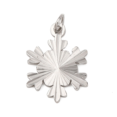304 Stainless Steel Pendants STAS-A125-12P-1