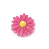 Resin Cabochons LS-CRES-N007-10B-1