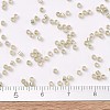 MIYUKI Delica Beads SEED-MY11-DB1766-4