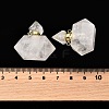 Gemstone Perfume Bottle Pendants G-L623-08G-4