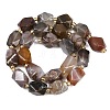 Natural Botswana Agate Beads Strands G-P611-B01-01-4