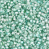 Baking Paint Glass Seed Beads SEED-Q041-03A-03-3