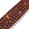 Natural Agate Beads Strands G-M437-B01-01K-1