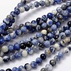 Natural Sodalite Beads Strand GSR12mmC013-1