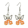 Glass Dangle Earrings EJEW-MZ00319-03-1