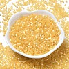 Glass Bugle Beads X1-SEED-B001-03A-03-2
