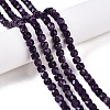 Natural Lepidolite Beads Strands G-N342-128-1-4