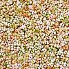 Baking Paint Glass Seed Beads SEED-C003-01J-2