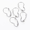 Tarnish Resistant 304 Stainless Steel Leverback Earring Findings X-STAS-G161-20B-1