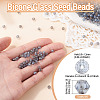 Picasso Baking Paint Glass Seed Beads SEED-TA0001-62L-3