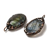 Natural Labradorite Pendants G-K381-05R-04-2