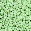 Baking Paint Glass Seed Beads X1-SEED-K010-A18-2