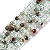 Natural Green Lodolite Quartz/Garden Quartz Beads Strands G-G933-03A-1