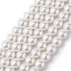 Eco-Friendly Glass Pearl Beads Strands HY-A008-10mm-RB001-1