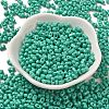 Baking Paint Glass Seed Beads SEED-K009-01A-10-2