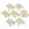 Acrylic Pendants X-KY-S163-093A-04-1