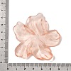Transparent Resin Cabochons RE-CBAEB2B-01A-3