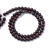 Natural Bloodstone Beads Strands G-R412-06-12MM-2