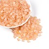 Transparent Spray Painted Glass Seed Beads SEED-L011-10A-14-1