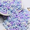 Macaron Color Opaque Frosted Glass Seed Beads X1-SEED-K009-12B-10-1