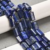 Natural Lapis Lazuli Beads Strands G-N327-06-13-2