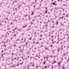 Baking Paint Glass Seed Beads SEED-P006-03A-11-3