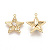 Brass Cubic Zirconia Pendants KK-T050-14G-NF-2