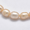 Natural Cultured Freshwater Pearl Beads Strands PEAR-N012-06I-3