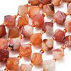 Natural Weathered Agate Beads Strands G-A321-G02-01-2