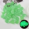 Resin Luminous Glow in the Dark Pebbles Stone PW-WG30806-04-1