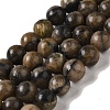 Natural Chiastolite Beads Strands G-Q161-A03-04-1