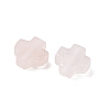 Natural Rose Quartz Beads G-K369-04E-2