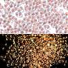 Luminous Glass Seed Beads SEED-A033-07C-1
