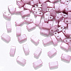 2-Hole Baking Painted Glass Seed Beads X-SEED-S031-M-599-1