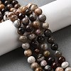 Natural Mexico Crazy Agate Beads Strands G-L615-A01-03-2