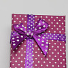 Cardboard Necklace Boxes with Bowknot and Sponge Inside LS-CBOX-R012-5-3