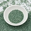 MIYUKI Delica Beads SEED-JP0008-DB2190-2