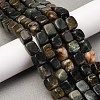 Natural Biotite Beads Strands G-B155-D05-1