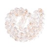 Handmade Foil Glass Beads FOIL-N029-09A-6