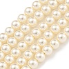 Glass Pearl Beads Strands HY-G002-01A-02-1