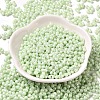 Opaque Colours Luster Glass Seed Beads SEED-B001-01A-10-2