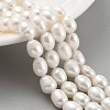 Natural Cultured Freshwater Pearl Beads Strands PEAR-P062-10H-2