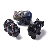 Natural Sodalite Display Decorations DJEW-P019-C02-1